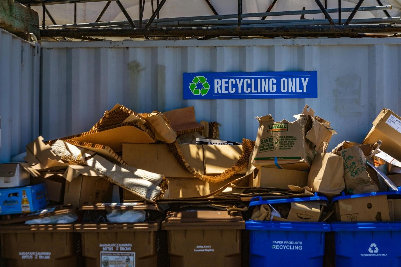 The Circular Economy: Rethinking Waste as a Resource